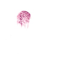 pastel rose sur calque,nuque david, 21x29,7cm, 2008 MX 47